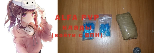стафф Бородино