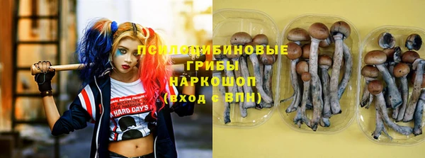 PSILOCYBIN Бронницы