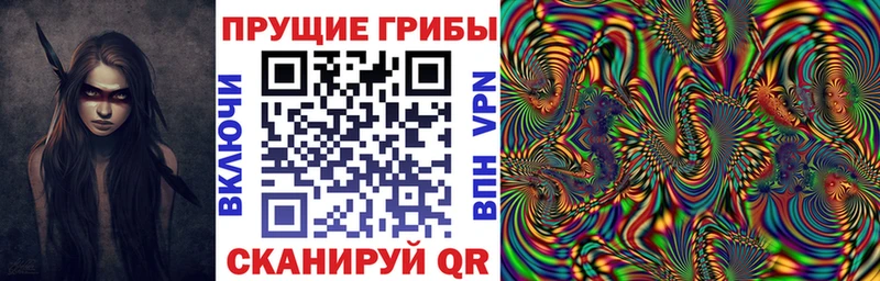 Галлюциногенные грибы прущие грибы  гидра как войти  Катайск  купить наркотик 